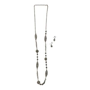 Long 40.25" Beaded Necklace and Single Bead 1" Dangly Earrings Set Gray/Silver